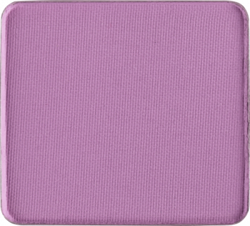 Тени для век Matte системы Freedom NF квадрат (Freedom eye shadow matte nf square 213)